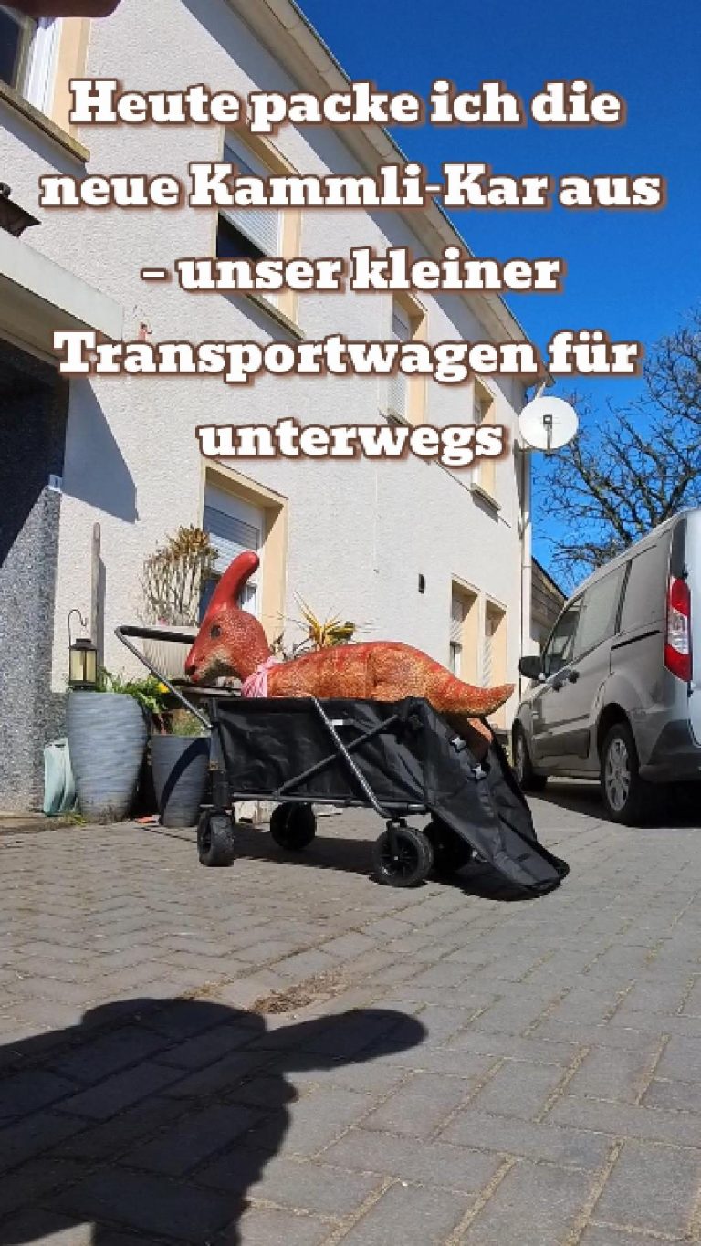 Kammli Kar