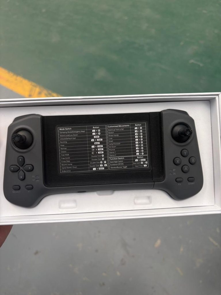 Fernbedienung Dino Kammli