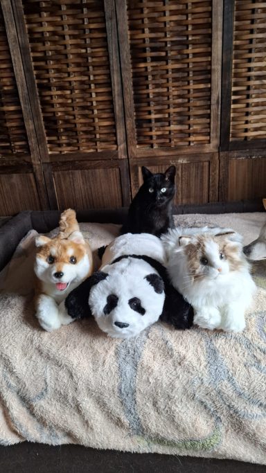 Mika, Mimi, Milo