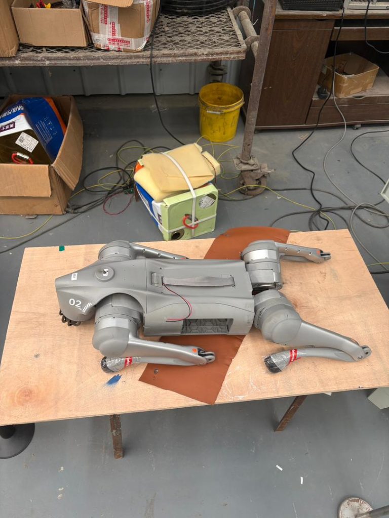 Dino Kammli Roboter Dino Kammli Roboter